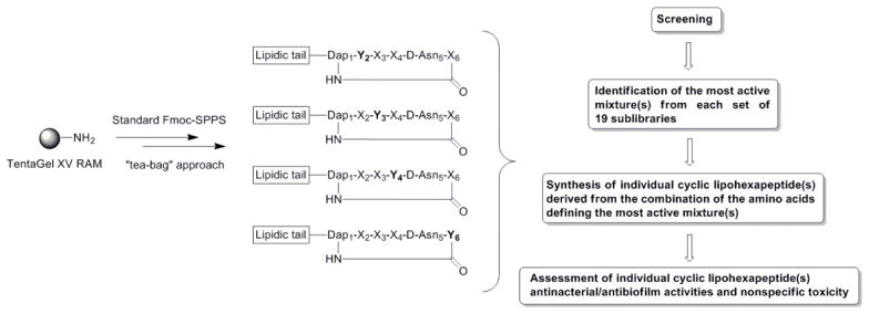 Scheme 1