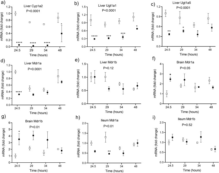 Figure 7 consists of the graphs a, b, c, d, e, f, g, h, and i. There are black (LPS mice) and white squares (controls) with error bars on the graphs showing the mean (standard error of the mean) fold change in the mRNA expression of genes encoding the enzymes (a) cytochrome P450 1A2 (Cyp1A2), (b) UDP glucuronosyltransferase 1A1 (Ugt1A1), and (c) UDP glucuronosyltransferase 1A5 (Ugt1A5) in the mouse livers, and of membrane transporters multidrug resistance proteins 1a (Mdr1a) and 1b (Mdr1b) in the mouse livers (d, e), brain (f, g), and ileum (h, i). The tissue samples were collected at 24.5, 29, 34 and 48 hours following lipopolysaccharide injection. The mRNA expression was significantly less in the liver of LPS mice than of controls for genes encoding Cyp1A2, Ugt1A1, Ugt1A5, Mdr1a (P < .0001 for all), and for Mdr1b in the intestine (P < .01). The mRNA expression was significantly higher in the brain of LPS mice than of controls for genes encoding Mdr1a (P < .05) and for Mdr1b (P < .05). The mRNA expression in the liver and intestine was similar in LPS mice and controls of genes encoding Mdr1b.