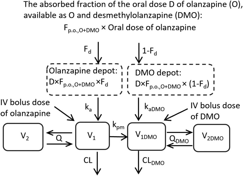 Organizational chart showing the pharmacokinetic model. Two boxes represent the central and peripherall compartments for olanzapine, and additional two boxes represent the corresponding compartments for desmethylolanzapine. Bidirectional arrows between the compartments depict the intercompartmental clearances for both compounds. A unidirectional arrow between the central compartments represents the formation of desmethylolanzapine from olanzapine, and unidirectional arrows from central compartments depict the elimination clearances for both compounds. The arrows pointing to the central compartments represent intravenous doses of olanzapine and desmethylolanzapine. The input of oral olanzapine and presystemic formation of desmethylolanzapine are illustrated by two boxes named olanzapine depot and desmethylolanzapine depot.