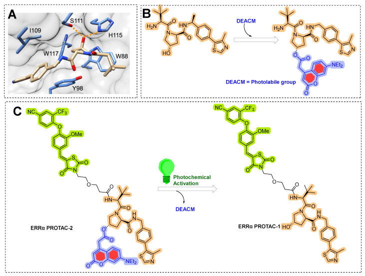 Figure 21