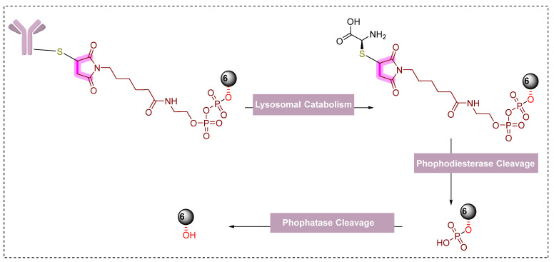 Figure 20