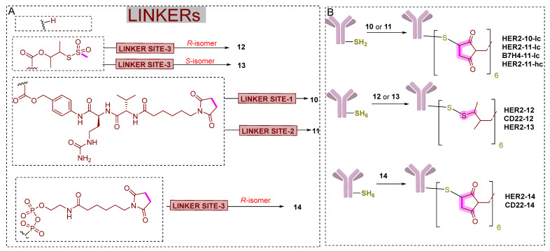 Figure 19