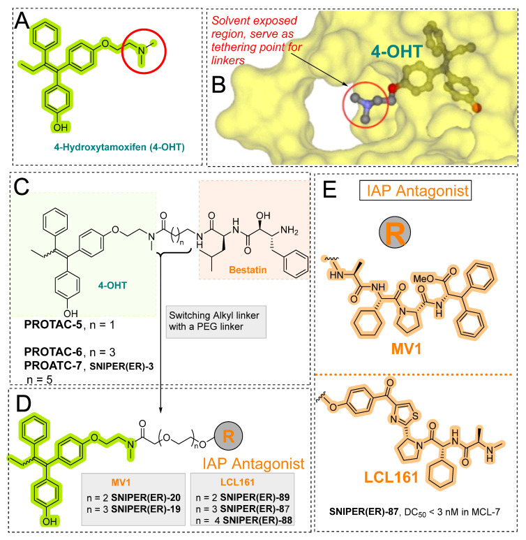 Figure 14