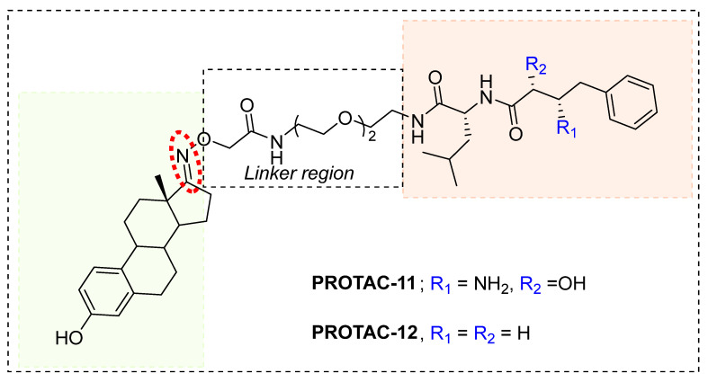 Figure 13