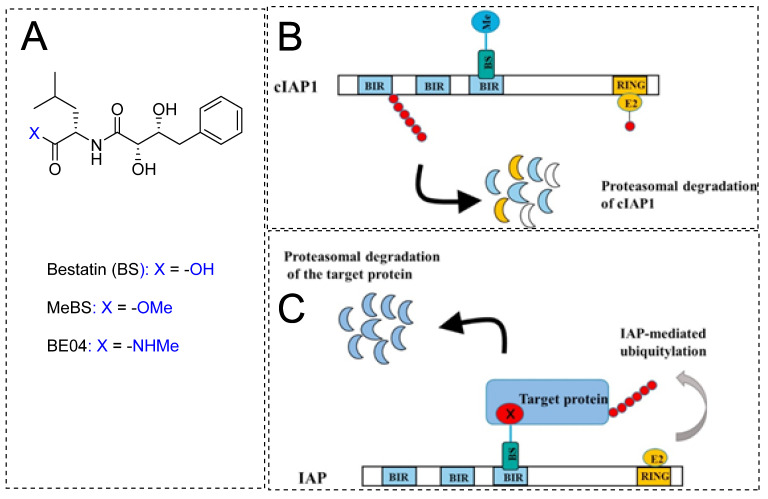 Figure 12