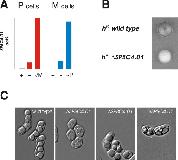 Figure 4