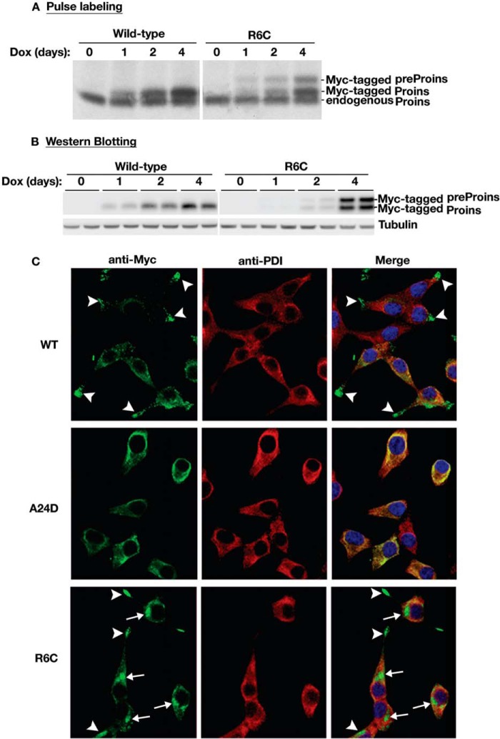 FIGURE 6.