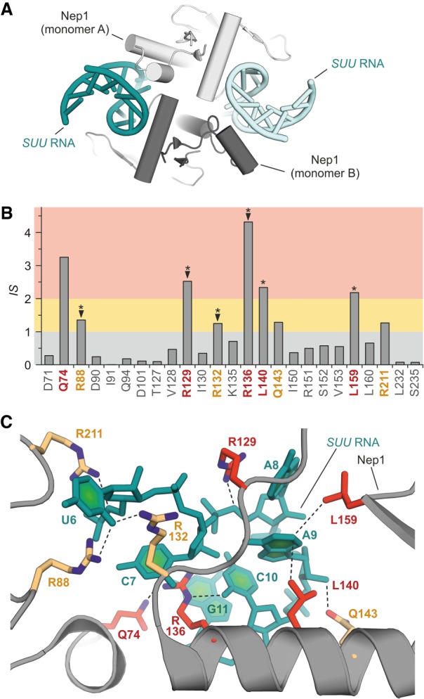 FIGURE 4.