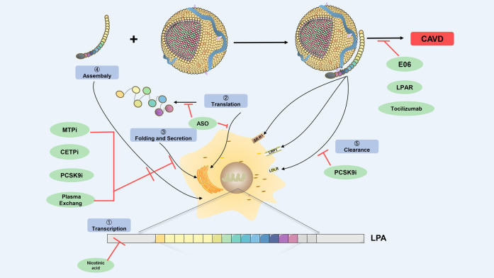 FIGURE 3