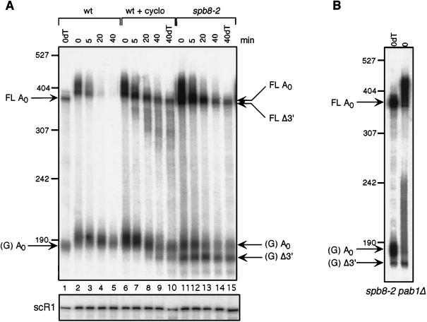 FIG. 7