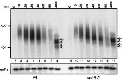 FIG. 5