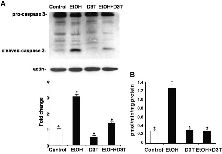 FIG. 8.