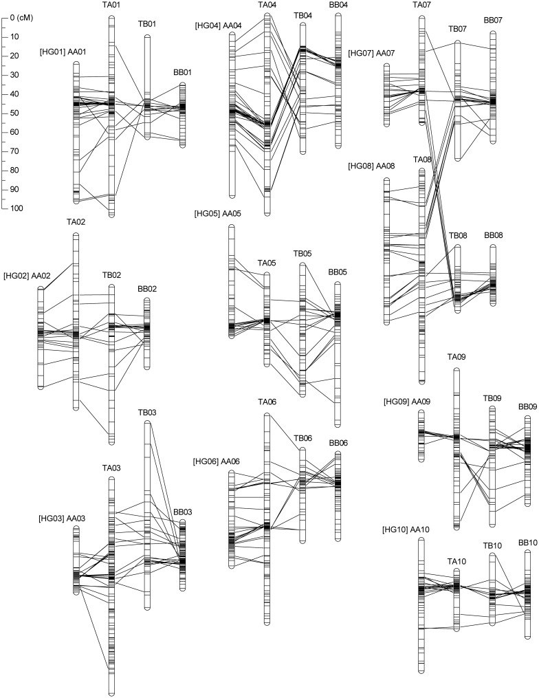 Figure 1.