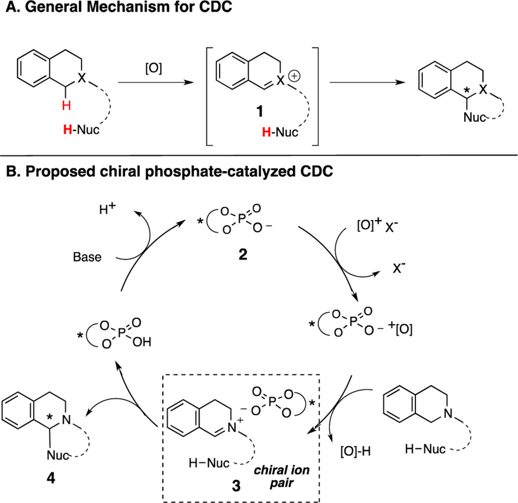 Scheme 1