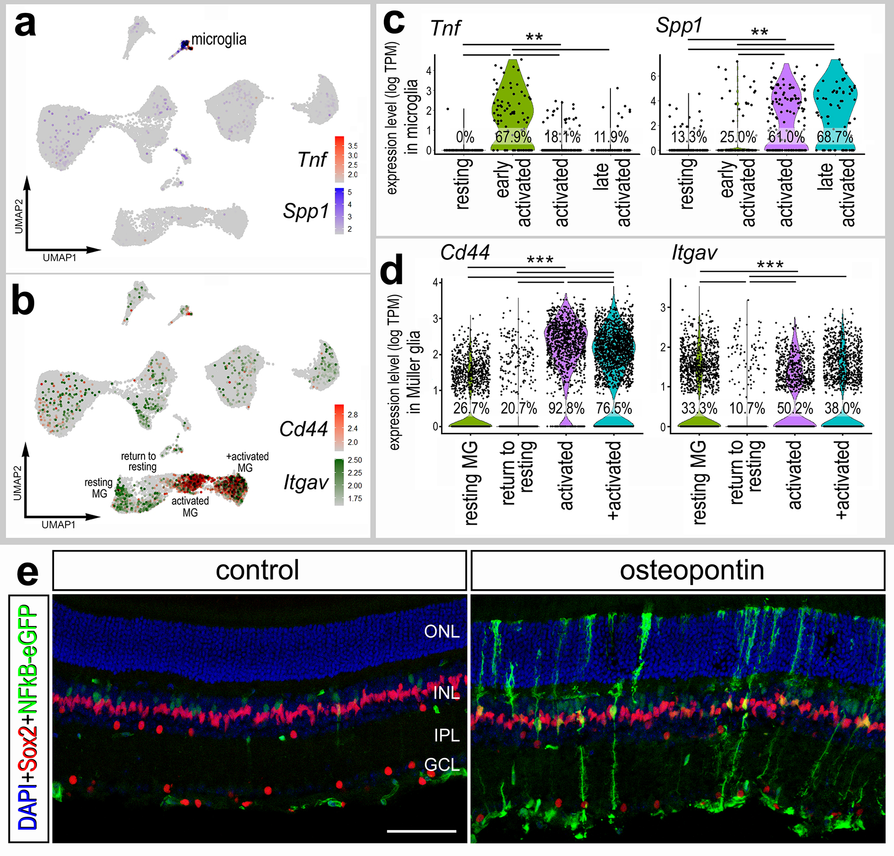 Figure 6: