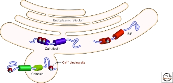 Figure 11.