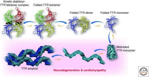 Figure 13.