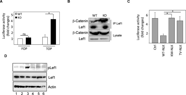 FIGURE 4: