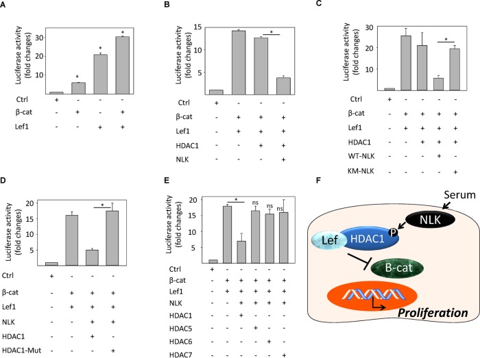 FIGURE 6: