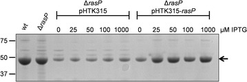 Fig. 3