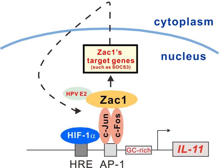 Figure 9