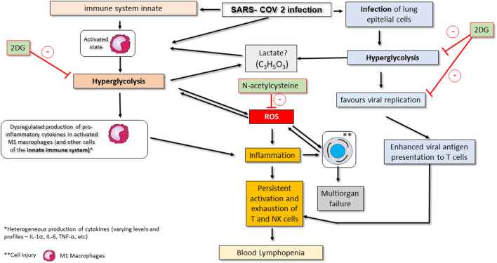 FIGURE 2