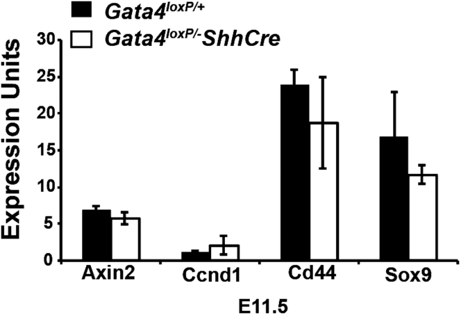 Figure 11