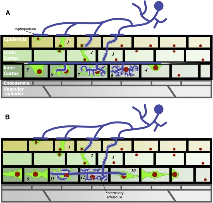 Figure 6.