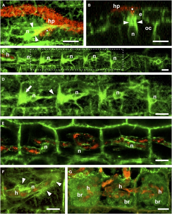 Figure 3.