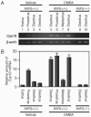 FIG. 7.