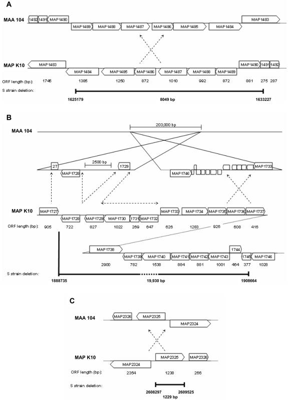 FIG. 1.