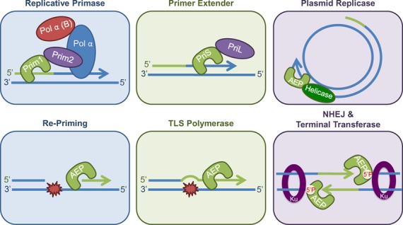 Figure 6.