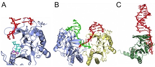 Figure 5.