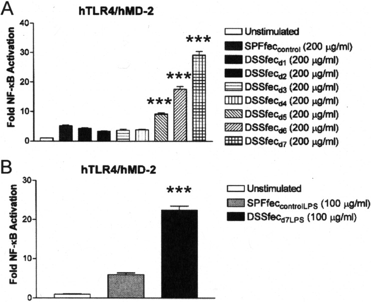 FIG 6