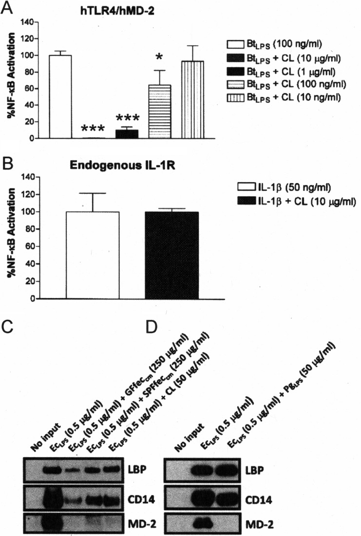 FIG 5