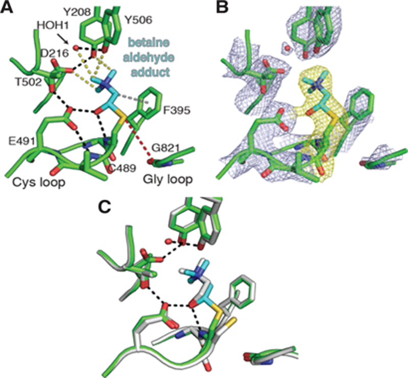 Figure 3.