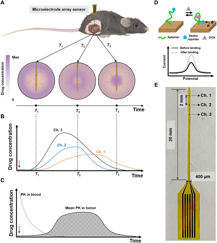 Fig. 1.