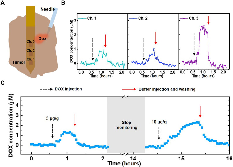 Fig. 4.