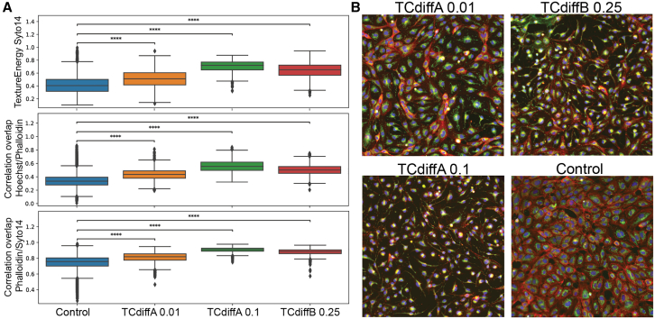 Figure 4