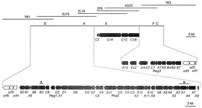 FIG. 2.