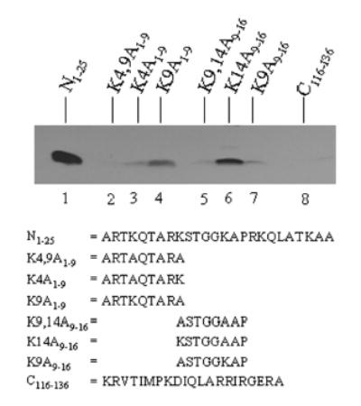 FIGURE 3