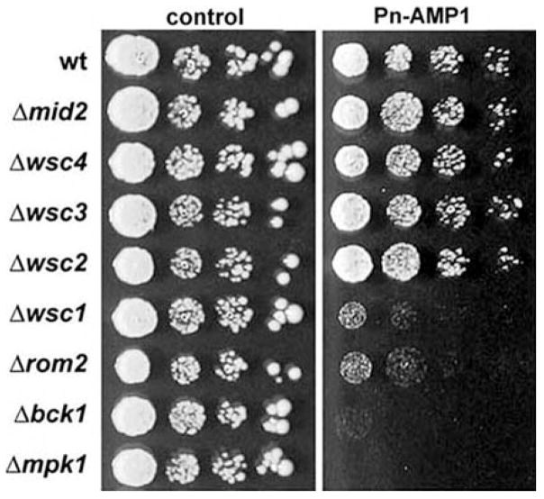 Fig. 9