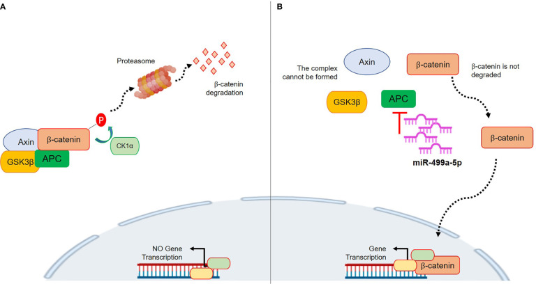 Figure 6