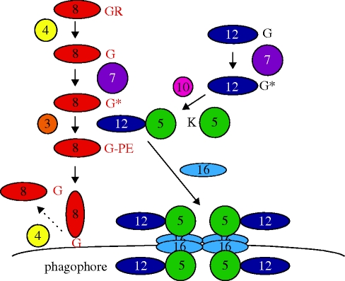 Figure 2.