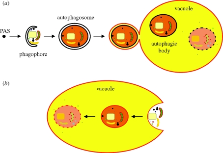 Figure 1.