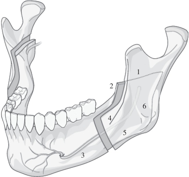 Figure 6.