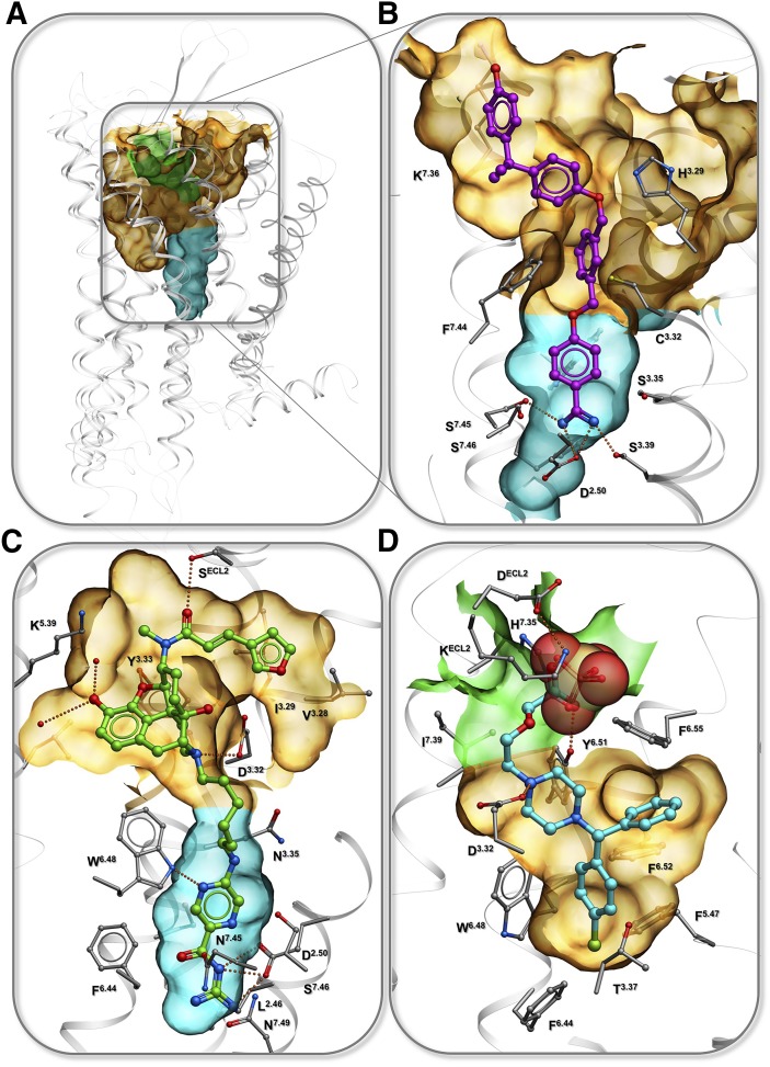 Fig. 7.