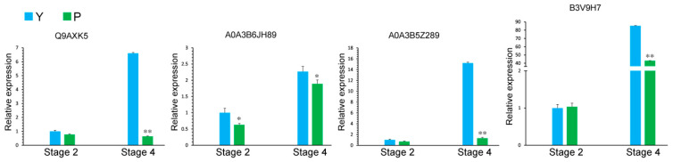 Figure 12