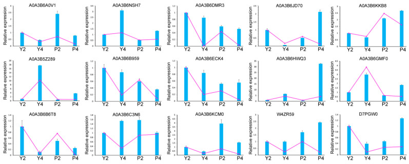 Figure 11