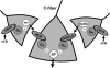 Fig. 10